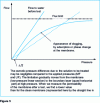 Figure 5 - Schematic representation of the different limitations of crossflow filtration