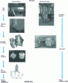 Figure 4 - Comparison of conventional and membrane technology lines