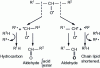 Figure 10 - Hydroperoxide decomposition products