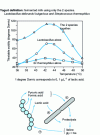 Figure 10 - An example of bacterial symbiosis: yogurt