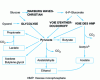 Figure 5 - Main fermentation pathways for simple carbohydrates