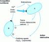 Figure 9 - Negative interactions