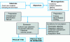 Figure 1 - Phases and stages of biotechnological production