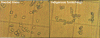 Figure 1 - Veil yeasts on yellow wine – observation in phase constrast X400 on hematimetric cell (Enilbio biotechnology laboratory, Poligny).