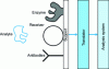 Figure 1 - Simplified diagram of a biosensor with the analyte, the ligand immobilized on the support, the transducer and the signal-measuring device.