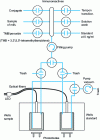 Figure 16 - Schematic of optical biosensor for progesterone assay (Claycomb & Delwiche, 1998) [54]