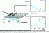 Figure 17 - Schematic representation of the BIA-MS approach (after Nedelkon et al. 2000)