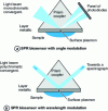 Figure 4 - Surface plasmon resonance biosensors [19]