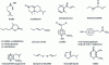 Figure 1 - Structure of various aroma compounds