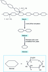 Figure 8 - Starch degradation