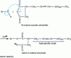 Figure 24 - Reaction formula for the preparation of an OSA starch, according to [17]