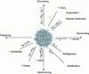 Figure 4 - Influence of the main physico-chemical factors on the structure and stability of casein micelles (Gaucheron, 2005)