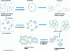 Figure 11 - Different emulsion structures based on slightly denatured or aggregated pea proteins