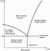 Figure 11 - Single eutectic water/sucrose binary diagram