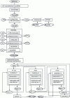 Figure 2 - Sucrose production process from beet