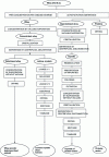 Figure 3 - Process for producing lactose from whey