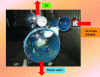 Figure 12 - Extractor or releaser (courtesy of Sylvain Mailloux, maple syrup advisor) [12]