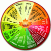 Figure 2 - Maple Flavor Wheel