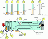 Figure 8 - Concentrate flow phenomena in evaporator breakdowns (source: https://www.agrireseau.net)