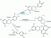 Figure 18 - Flavonol reactions