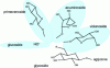 Figure 21 - Glycoside residues found in tea leaves (in blue, the various R groups)