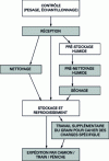 Figure 5 - Storage site activities