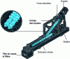 Figure 3 - Schematic diagram of a Polymatik press: the semolina is hydrated and mixed by a twin-screw system just before extrusion (source: Buhler).