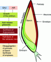 Figure 18 - Malting