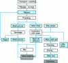 Figure 3 - Extraction of apple must