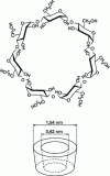 Figure 22 - Toric configuration of beta-cyclodextrin, with its apolar cavity to house the cholesterol molecule.