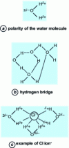 Figure 3 - Polar structure of the water molecule