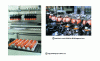 Figure 4 - Egg product manufacturing techniques (France Ponte documents)