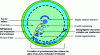 Figure 10 - How pure water ice crystals form in the freezer cylinder