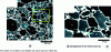 Figure 7 - Synchrotron X-ray tomography – Reconstruction of ice cream slices by filtered back projection [2]