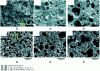 Figure 8 - Cryo-SEM images  and reconstructed 2D tomographic sections  showing ice cream microstructures after different thermal conditions [2]