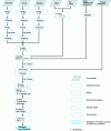 Figure 5 - Case of a processing plant: "fine meat pasta" line