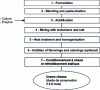 Figure 5 - Diagram of cream cheese production using non-drip technology