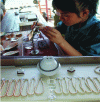 Figure 4 - Implanting a small bead of mother-of-pearl into an oyster to obtain a pearl, Along Bay, Vietnam