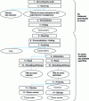 Figure 4 - From harvest to semi-finished products