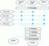 Figure 5 - From semi-finished products to chocolates