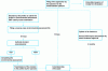 Figure 3 - Diagram of the declaration procedure