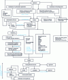 Figure 3 - Schematic description of the authorization procedure