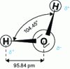 Figure 1 - Water, a polarized molecule (UFE Observatoire de Paris, Ressources Libres 21 Sciences Planétaires : Habitabilité)