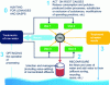 Figure 9 - Water efficiency strategy: focus on uses (Illustration AQUASSAY)