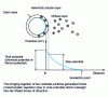 Figure 1 - Evolution of electronegative potential as a function of particle distance in the case of raw water