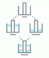 Figure 6 - Evolution of pulsed sludge bed clarifiers