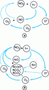 Figure 1 - Chapman cycle (a) and its modification due to emissions of volatile organic compounds (b)