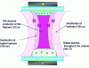 Figure 4 - Schematic structure of a streamer