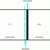 Figure 10 - Schematic diagram of a gas-phase electrocatalytic
cell [146]