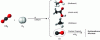 Figure 7 - Different CO2 hydrogenation
pathways